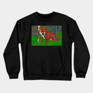 Red Fox Animal Portrait Crewneck Sweatshirt